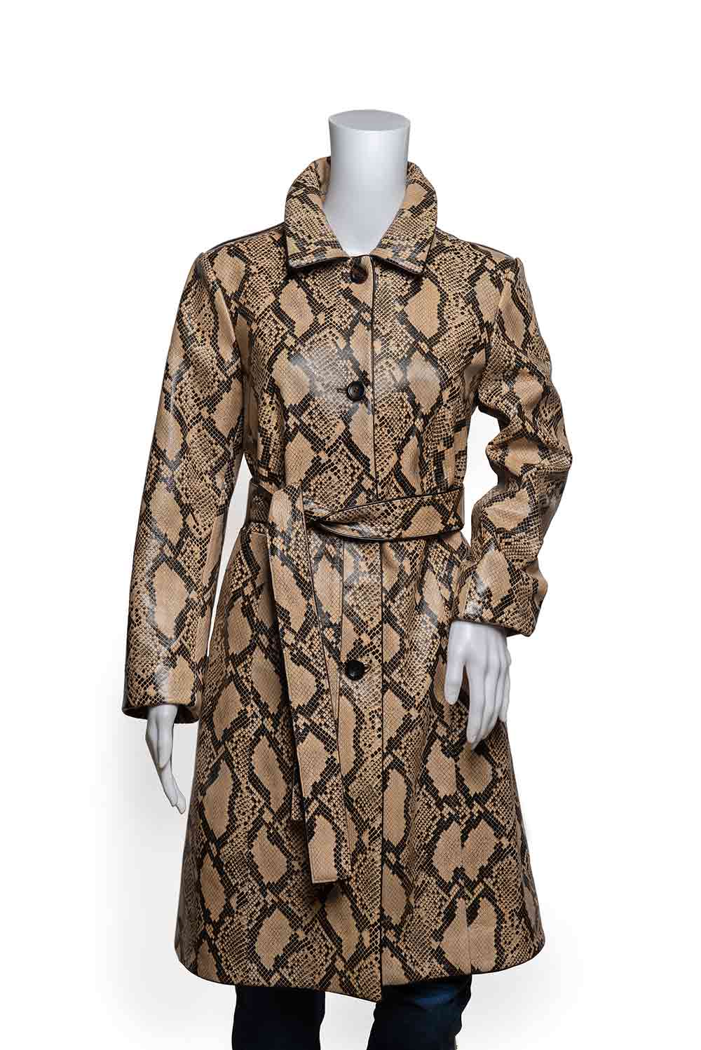 Read more about the article FW14049